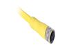 Cordset 889R, female AC Micro 6pin » flying-lead, 4A 250V, -20..105°C, polyurethane, gold over nickel-plated brass, PVC, 5m, IP67/69K, Allen-Bradley, yellow