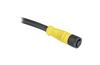 DC Micro Cordset Guardmaster 889D, M12 8pin socket » M12 8pin plug, 1.5A 30VAC/36VDC, -20..80°C, 20m PVC cable, IP65, NEMA4